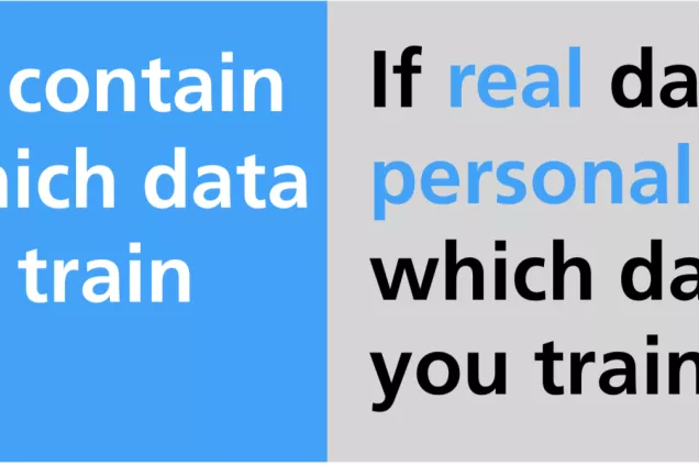 Picture. A picture of the text ''If real data contain bias, on which data should you train your data. If real data contain personal data, on which data should you train your data?''.